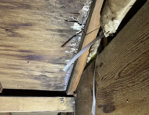 雨漏りの原因とは?起こりやすい場所と症状|放置する危険性と正しいメンテナンス方法を解説