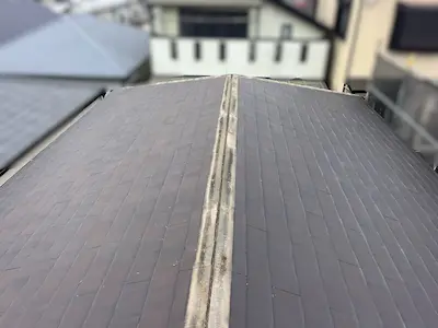 既存棟・下地材撤去